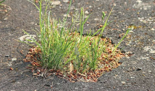 人工智能可以輕松廉價(jià)地檢測(cè)道路橋梁和建筑物的問題