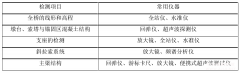 特大型橋梁結(jié)構(gòu)常規(guī)養(yǎng)護(hù)檢測(cè)方法